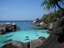 Schnorcheln Similan Islands - Fantastische Riffe
