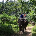 Elephant Trekking Khao Lak