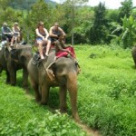 Mit der Familei auf dem Rücken eines Elefanten.